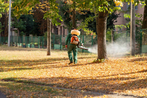 Best Best Pest Control Companies  in Orosi, CA
